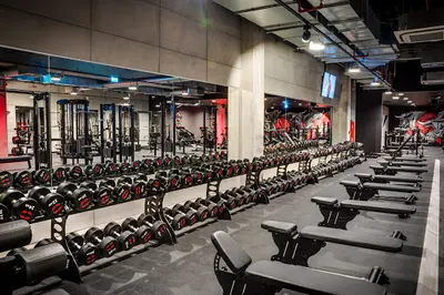 Siłownia Zielone Arkady Bydgoszcz | Well Fitness